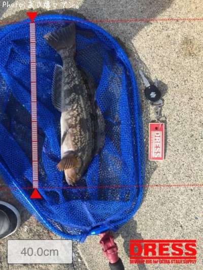 �����ʥ�