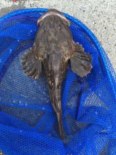 �ޥ�����