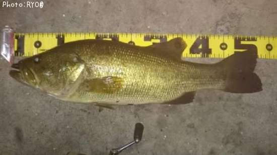 �֥�å��Х�