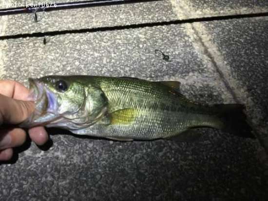 �֥�å��Х�