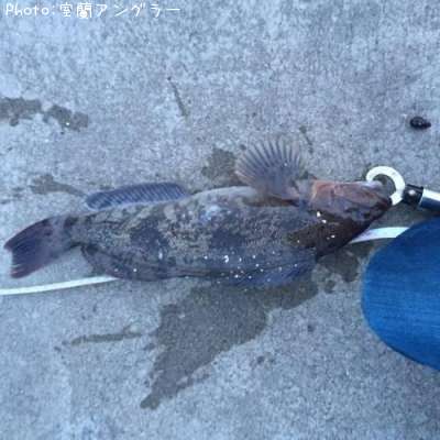 �����ʥ�