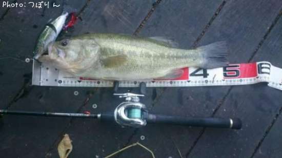 �֥�å��Х�