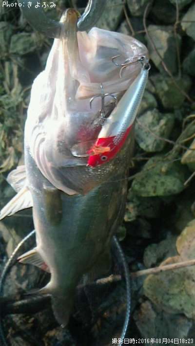 �����Х�