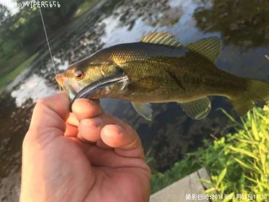 �֥�å��Х�