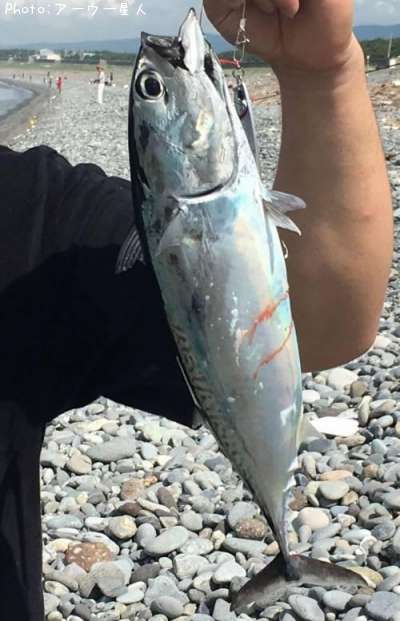 ���������ĥ�