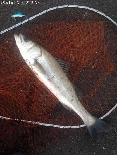 �����Х�