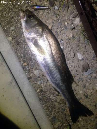 �����Х�