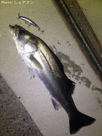 �����Х�