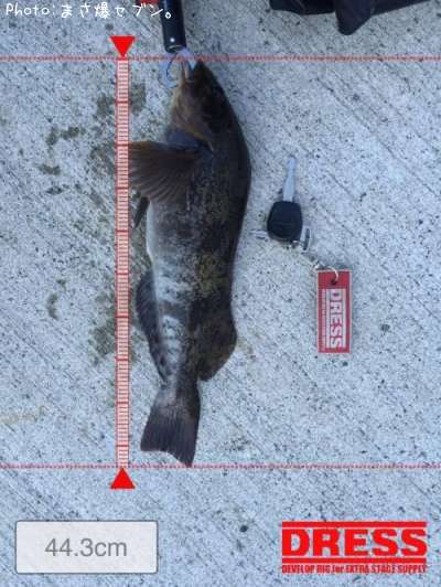 �����ʥ�