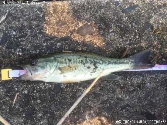 �֥�å��Х�