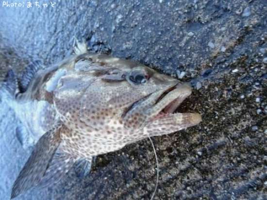 �����顼�ߡ��Х��ڥޥ���ϥ���