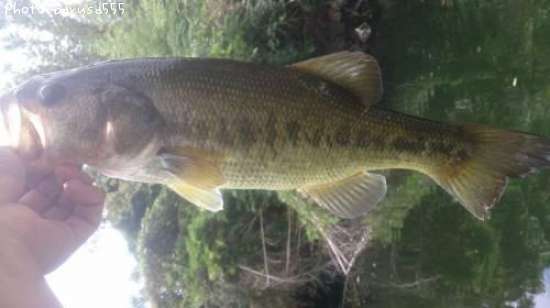 �֥�å��Х�