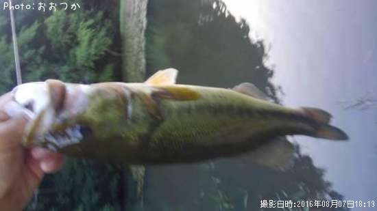 �֥�å��Х�