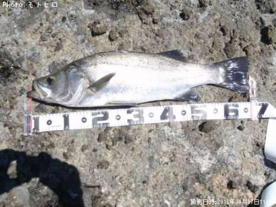 �ҥ饹����