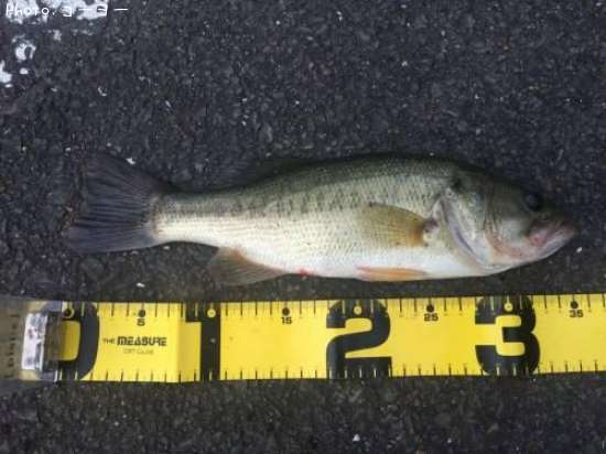 �֥�å��Х�