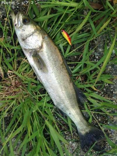 �����Х�