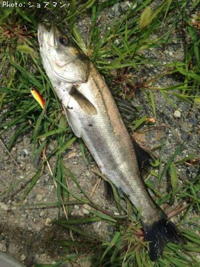 �����Х�