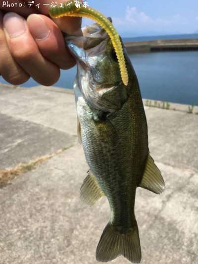 �֥�å��Х�