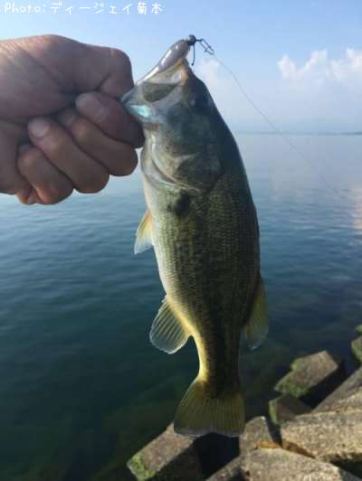 �֥�å��Х�