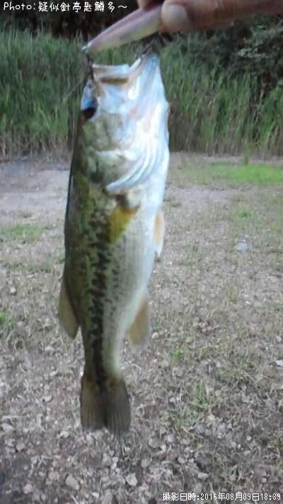 �֥�å��Х�