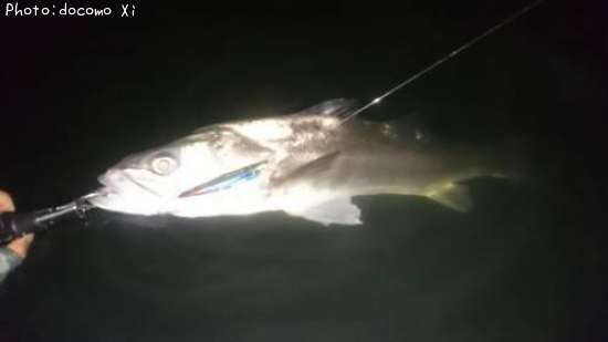 �����Х�