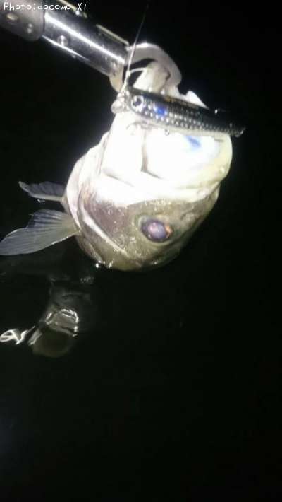 �����Х�