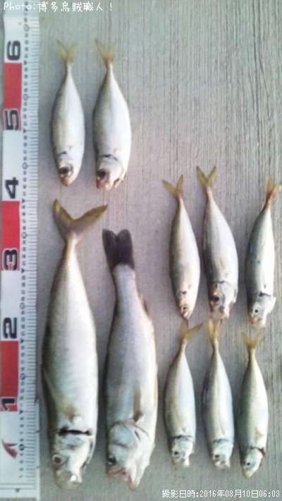 �ޥ륢���������������Х�