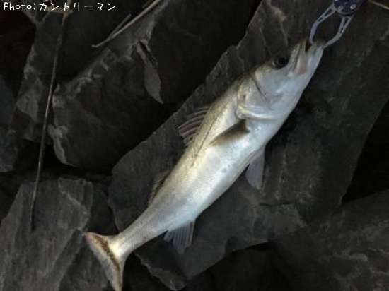 �����Х�