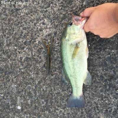 �֥�å��Х�