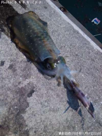 �����ꥤ��