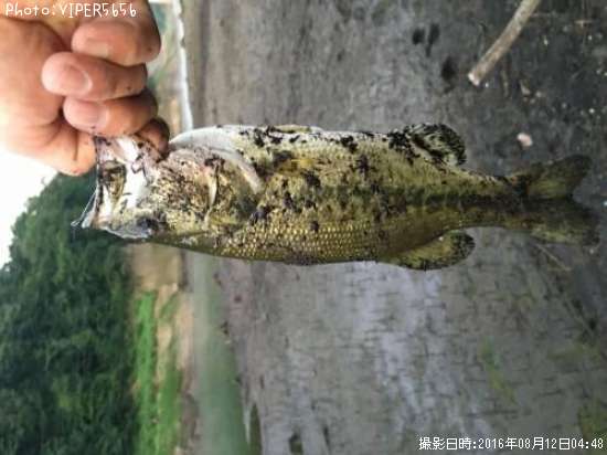 �֥�å��Х�