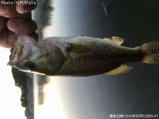 �֥�å��Х�