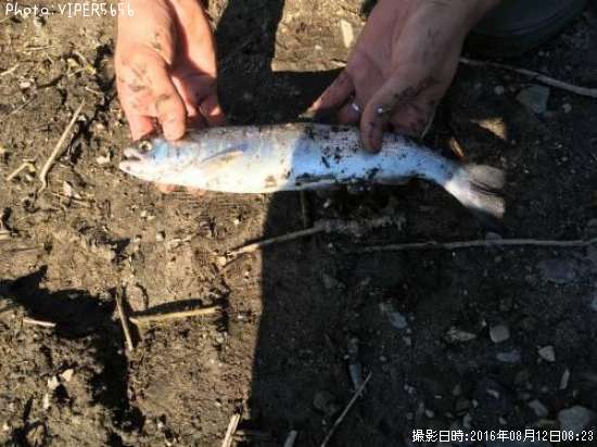 ������ޥ�