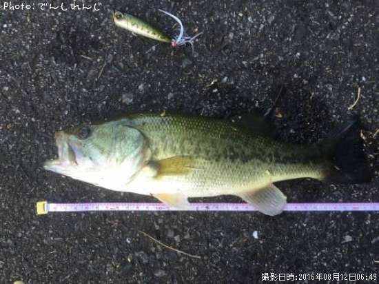 �֥�å��Х�