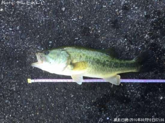 �֥�å��Х�