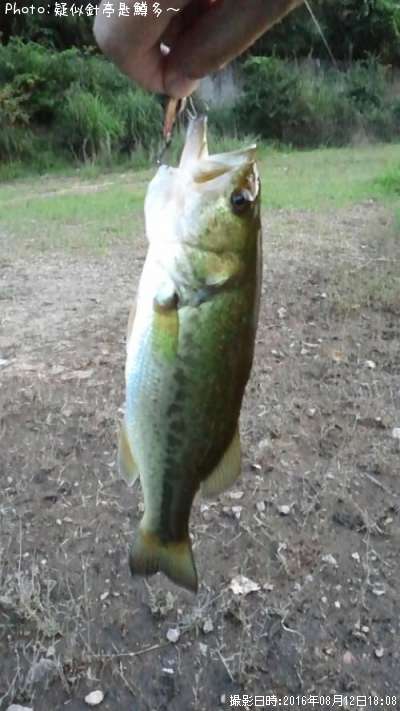 �֥�å��Х�