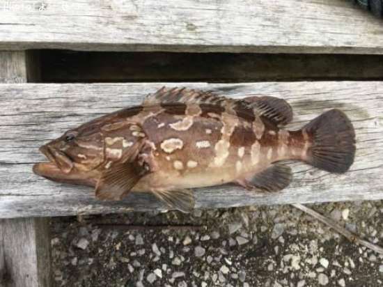 �����û�