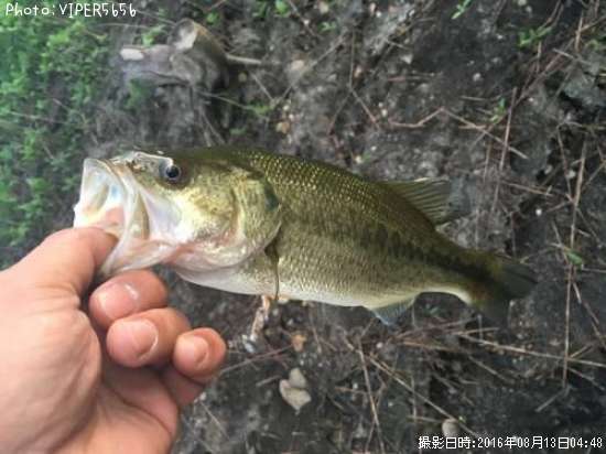 �֥�å��Х�