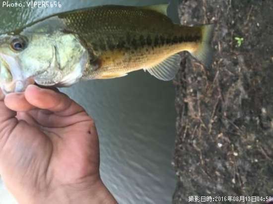 �֥�å��Х�