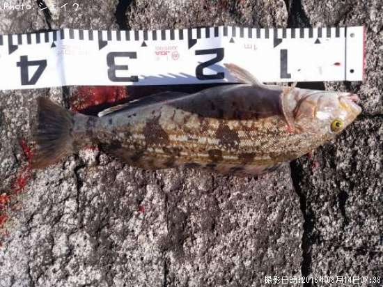 �����ʥ�