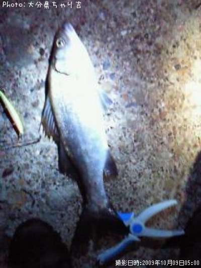 �ҥ饹����