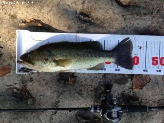 �֥�å��Х�