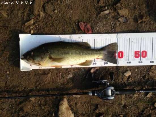 �֥�å��Х�