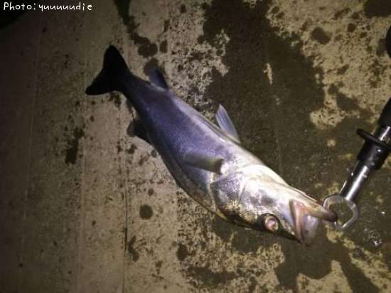 �����Х�