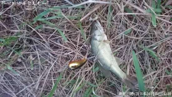 �֥�å��Х�