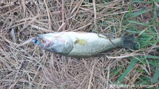 �֥�å��Х�