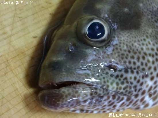 �����顼�ߡ��Х��ڥޥ���ϥ���