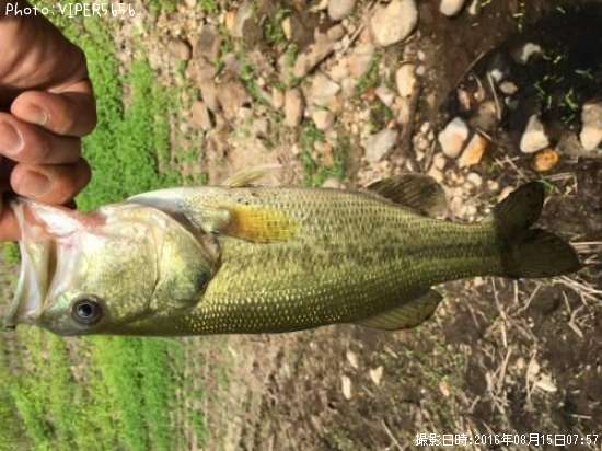 �֥�å��Х�