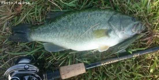 �֥�å��Х�