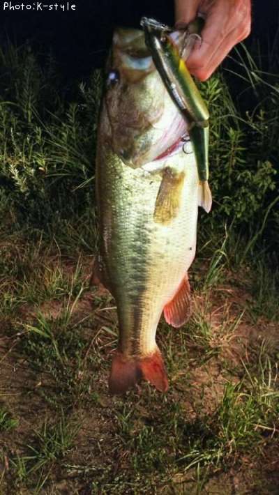 �֥�å��Х�